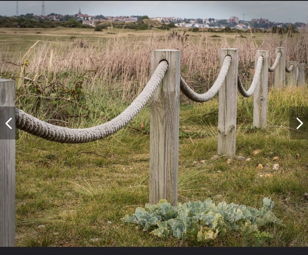 Patio area-rope fencing
