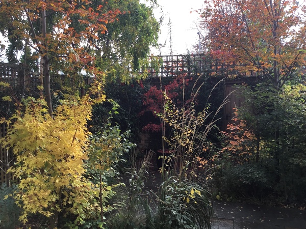 Garden wish list