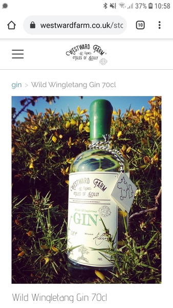 To ask what your favourite gin is?