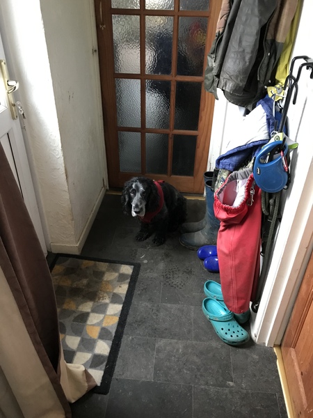 Running Thread 16