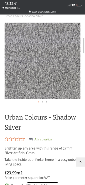 So much grey! I’m surprised the grass isn’t grey (Rightmove)