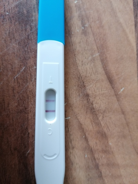 🦕 Catching up - ttc after miscarriage part 5 🦕