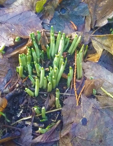 Any Witches here? Part 13