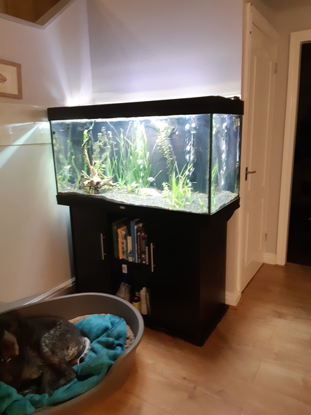 Knit, Crochet and Natter into 2021