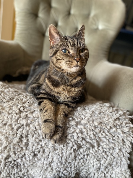 ADs and their gratuitous pussy pictures