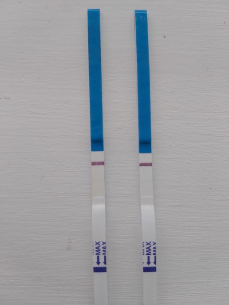 Faint Positives or Evap Lines?! Help!!
