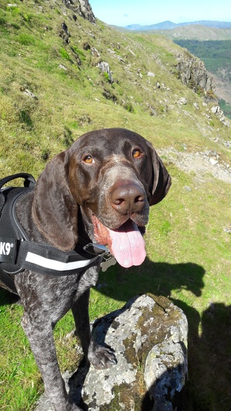 Knit, Crochet and Natter into 2021