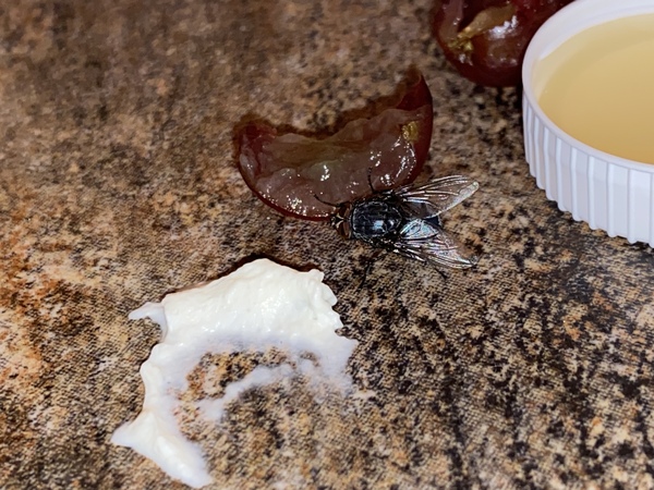 What's something normal in your home but probably weird in others homes?