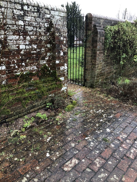 I need help deciding what to use as paths and a patio
