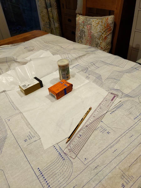 Any sewing aficionados? I need a stitch and bitch...