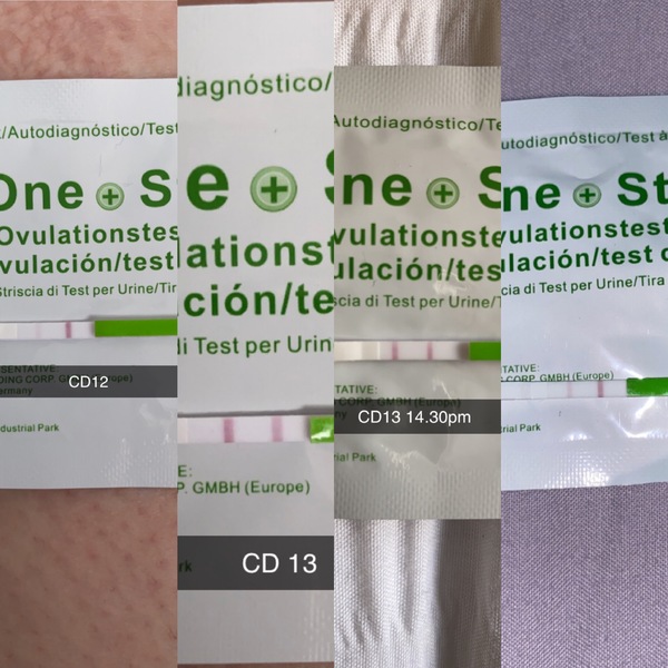 Ovulation tests, ADVICE! Please :)