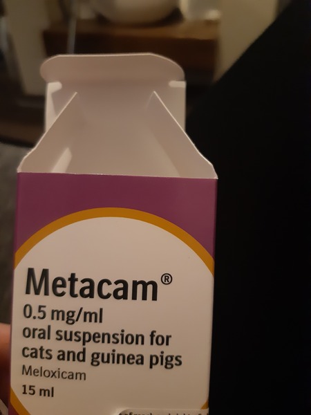 Advice on my cats injury