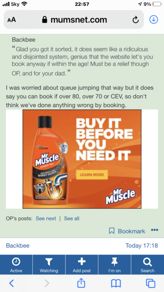 Ads within user posts