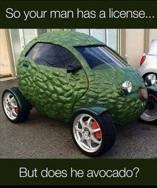 I’ve never had avocado