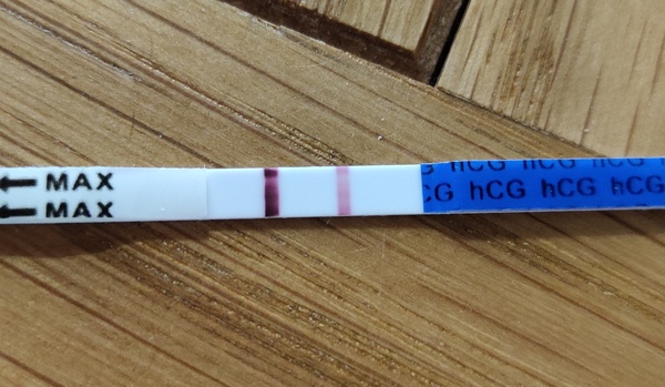 Pre-conception, planning and trying!