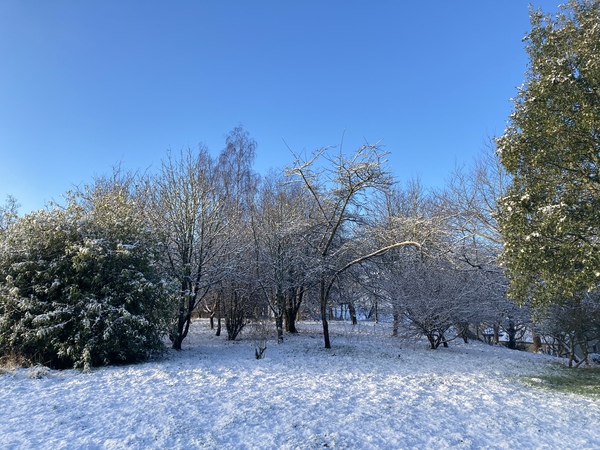 (ShagMe’s temporary) Low Carb Lockdown Bootcamp - Jan 21 - Week 1 chat thread PART 2!!!