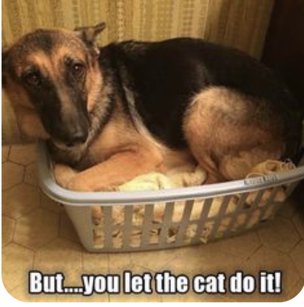 ADs and their gratuitous pussy pictures