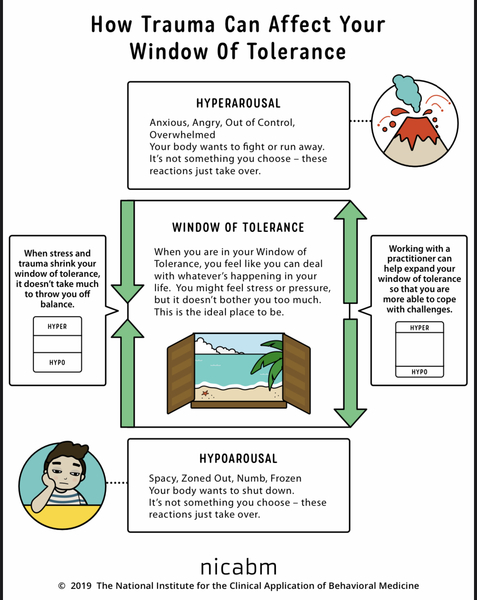 CAMHS diagnosed Emotional Dysregulation