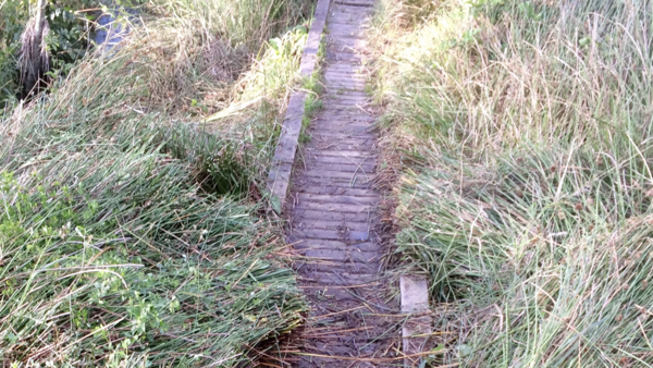 To just ask you all to either wear some proper wellies and walk on the footpath, or stick to the sodding pavements