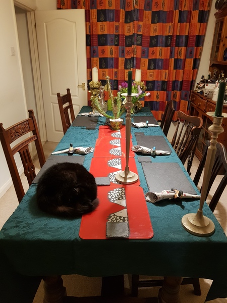 What's your DCat up to today? (Thread 8)