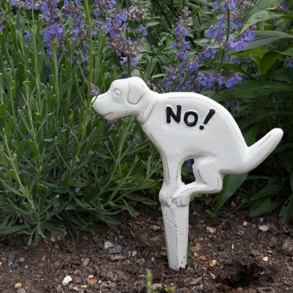 Dog poo-ing on our garden every morning and evening. AIBU to say something?