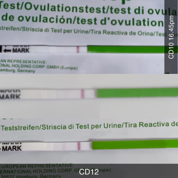 Ovulation tests, ADVICE! Please :)