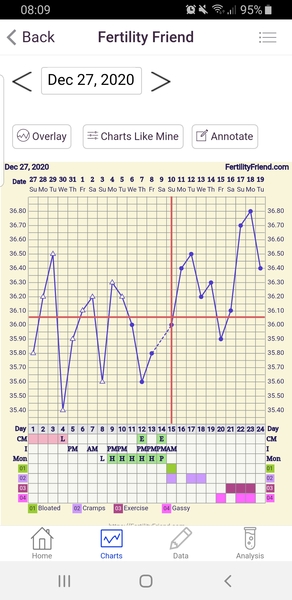 When did I ovulate? (FF chart)