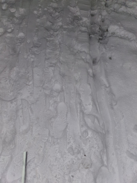 Dead snowman blocking my gate