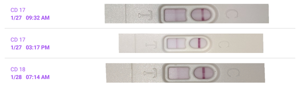 Ovulation due 27th January / Period due 10th February