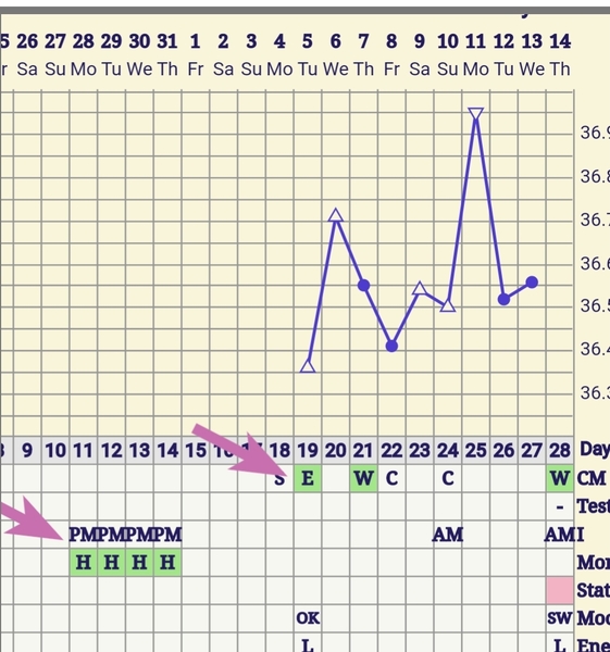 Late Ovulation?