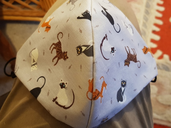 Cat chat thread we've lost count
