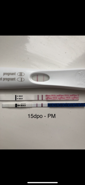 Does a positive test show up quicker if further along?
