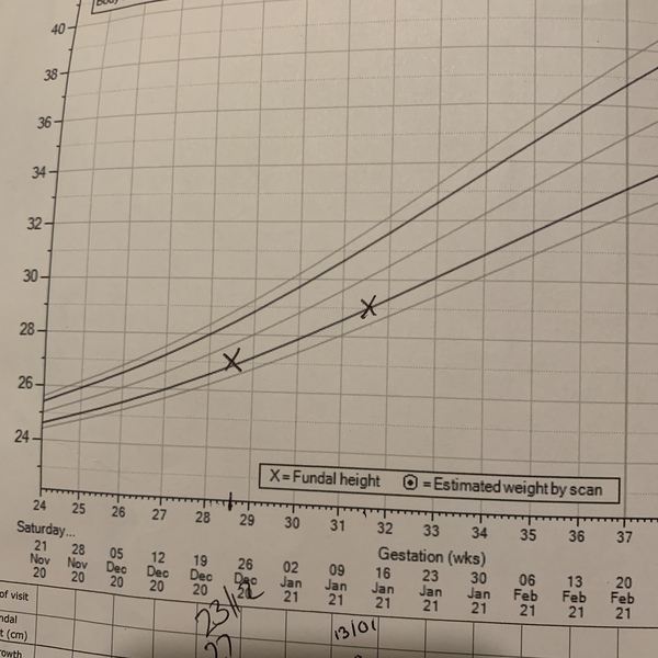 Pregnant After MMC - Thread 5