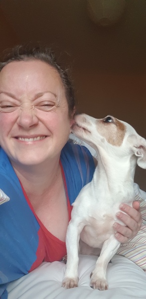 Animal soulmates
