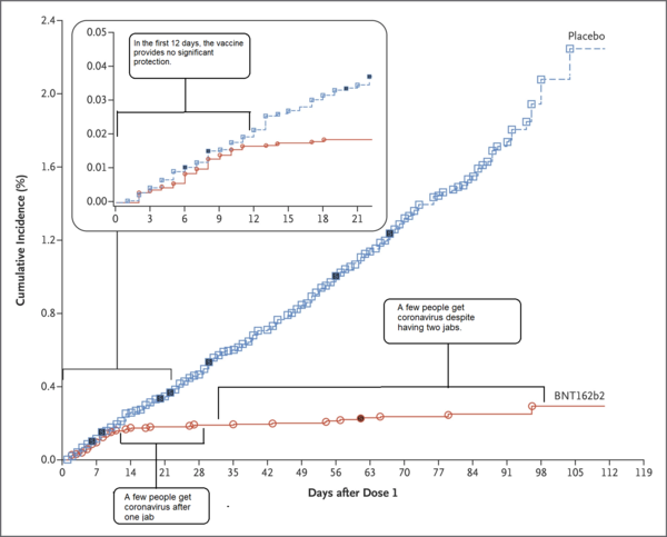 Can someone explain the vaccine efficacy to me