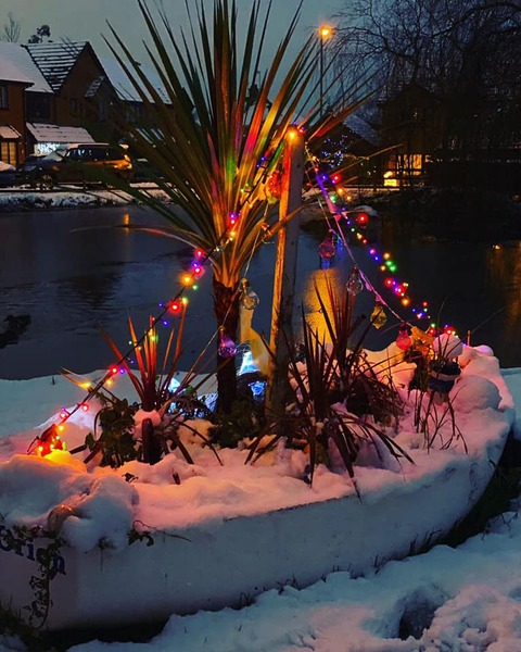 Something sparkly to replace my tree