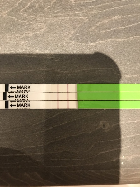 Is this my peak OPK?
