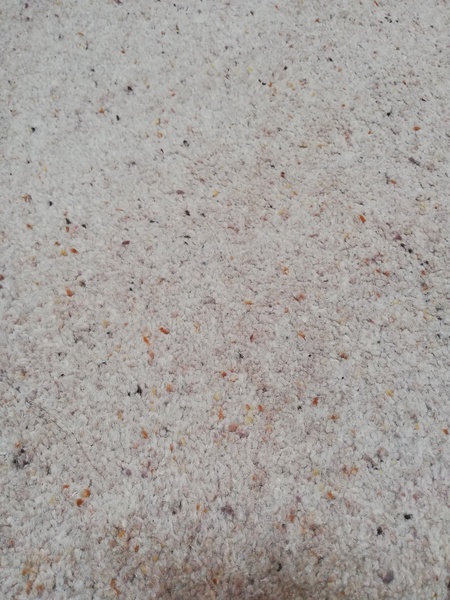 Carpet that isn't grey but won't look like shit? Anyone?