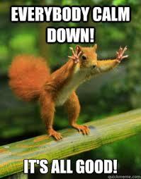 Bloody squirrels
