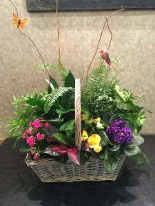 Cut flowers or those small planted arrangements?