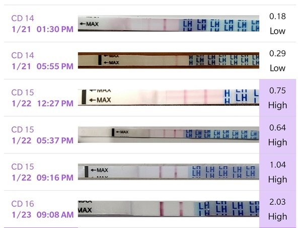 How many days post AF do you Start testing for ovulation? And how many times?
