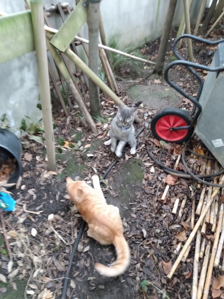 What's your DCat up to today? (Thread 8)