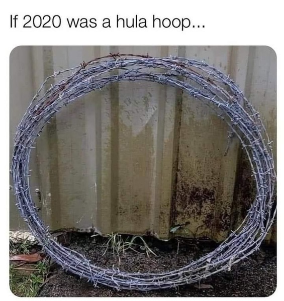 Covid/ lockdown (or any!) memes and jokes