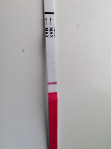 🦕 Catching up - ttc after miscarriage part 4 🦕