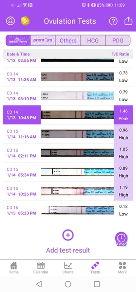 TTC chat 2