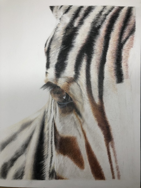 Daisies - is this ‘commercial’ enough to sell?