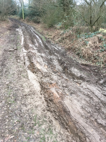 To just ask you all to either wear some proper wellies and walk on the footpath, or stick to the sodding pavements