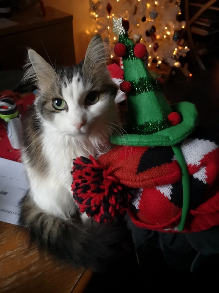 Knit, Crochet and Natter into 2021