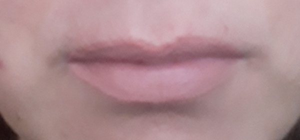 Lipstick Challenge - a different lipstick each day of Jan!