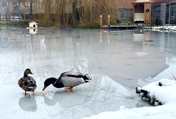 NOT what I expected to wake up to this morning...